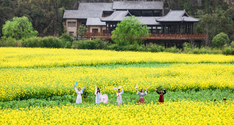 【花季贵州·双花会4日】贵阳+天龙屯堡+龙宫+龙字田油菜花+寻龙探秘+平坝樱花4日游