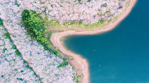 【花季贵州·黔东南7日】平坝樱花+荔波小七孔+西江千户苗寨+镇远古城+梵净山+黄果树瀑布+长桌宴+2-8人小包团&8人拼团7日游