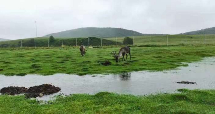 【乌兰布统草原·小众体验3日】越野车穿越浑善达克沙地+原生态草原+双程越野+影视基地+公主湖+赏草原日出日落+28人纯玩精品团