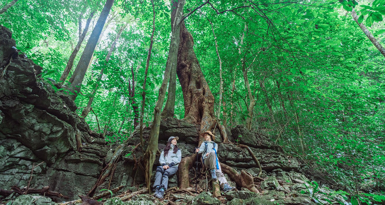 【行走贵州·旷野贵州5日】贵阳+茂兰漏斗森林+四洞天+螺丝壳+猴子沟5天4晚1-28人精品团