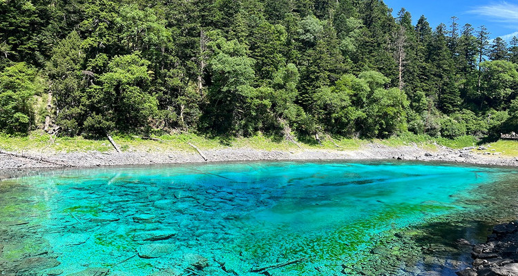 【大美九寨·人间仙境6日】九寨沟+黄龙+四姑娘山双桥沟+卧龙中华大熊猫苑+松潘古城+6日轻奢度假游+8人VIP小团+升级4晚4钻酒店 ·夜宿九寨沟内·7人即升级保姆车