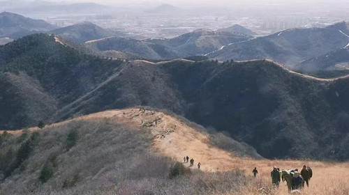 【北京100公里山野·狐狸峪站】徒步金海湖狐狸峪丨金海湖红叶配湖景，狐狸峪步道藏着整片秋