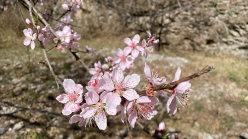 【北京一周一山·白瀑寺】‌会员周限量尊享9.9元丨闯入京郊玄幻世界+探访京西辽代最魔幻的寺庙~