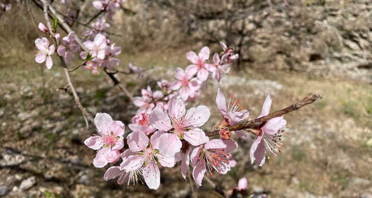 【北京一周一山·白瀑寺】12公里休闲徒步丨深山访古寺+打卡辽代魔幻寺庙