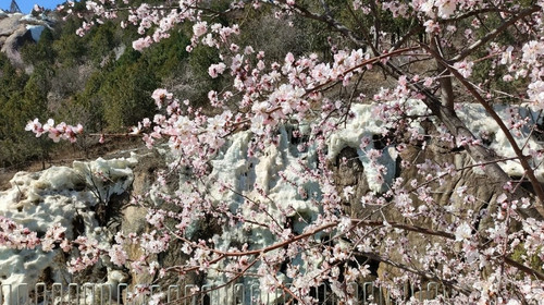 【北京一周一山·白虎涧】初级丨7公里丨北京后花园看桃花漫满山+赏燕平八景