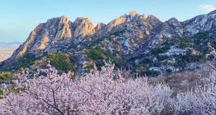 【北京一周一山·白虎涧】7公里初级徒步丨北京后花园看桃花漫满山+赏燕平八景