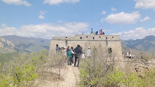 【北京一周一山·鹞子峪】休闲级丨8公里丨解锁北京赏花秘境+徒步打卡长城脚下的隐秘桃源！