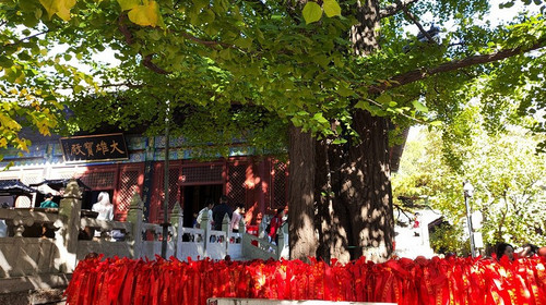 【北京一周一山·红螺寺】休闲级丨8公里丨京北巨刹千年古寺+登高祈福+徒步雁栖湖西山步道+俯瞰雁栖湖全景