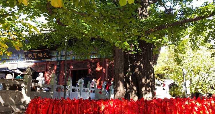 【北京一周一山·红螺寺】休闲级丨8公里丨京北巨刹千年古寺+登高祈福+徒步雁栖湖西山步道+俯瞰雁栖湖全景