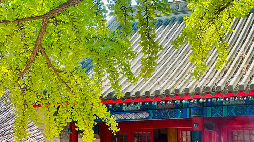 【北京一周一山·红螺寺】京北巨刹千年古寺+登高祈福+徒步雁栖湖西山步道+俯瞰雁栖湖全景