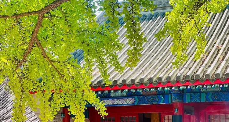 【北京一周一山·红螺寺】休闲级丨8公里丨京北巨刹千年古寺+登高祈福+徒步雁栖湖西山步道+俯瞰雁栖湖全景