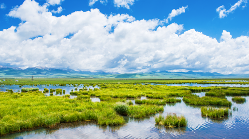 【甘南色达·大环线10日】兰州+拉卜楞寺+桑科草原+阿万仓湿地+娘玛寺+莲宝叶则+色达喇荣五明佛学院+壤塘三大寺+各莫寺+九曲黄河第一湾+若尔盖花湖+郎木寺+格尔底寺+扎尕那+官鹅沟+天水古城+麦积山石窟+2-8人小包团/8人小团