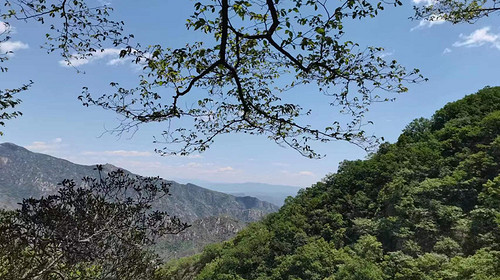 【北京一周一山·桃源仙谷】初级丨10公里丨北方的“世外桃源“+赏密云水库风光+感受自然之美