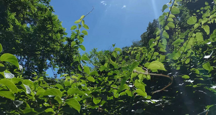 【北京一周一山·桃源仙谷】初级丨10公里丨北方的“世外桃源“+赏密云水库风光+感受自然之美