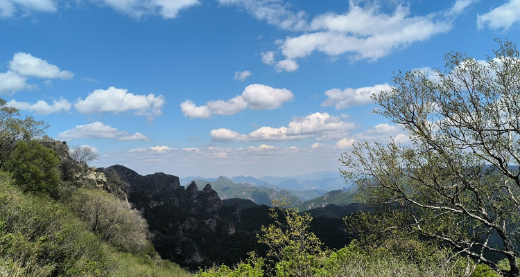 【北京一周一山·北灵山】初级丨10公里丨打卡京郊”阿勒泰“+踏浪高山草甸+邂逅云海+开启摘韭菜的夏日狂欢派对~