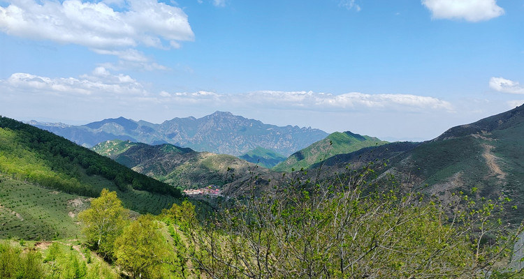 【北京一周一山·北灵山】初级丨10公里丨打卡京郊”阿勒泰“+踏浪高山草甸+邂逅云海+开启摘韭菜的夏日狂欢派对~
