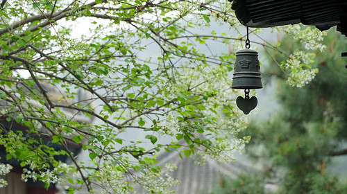【北京一周一山·白瀑寺】初级丨12公里丨深山访古寺+打卡辽代魔幻寺庙