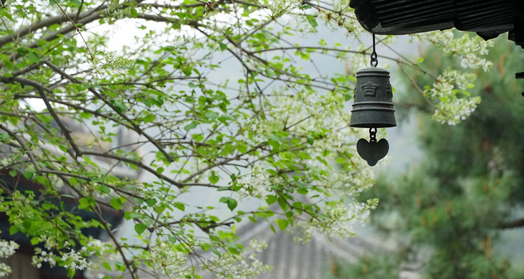 【北京一周一山·白瀑寺】初级丨12公里丨深山访古寺+打卡辽代魔幻寺庙