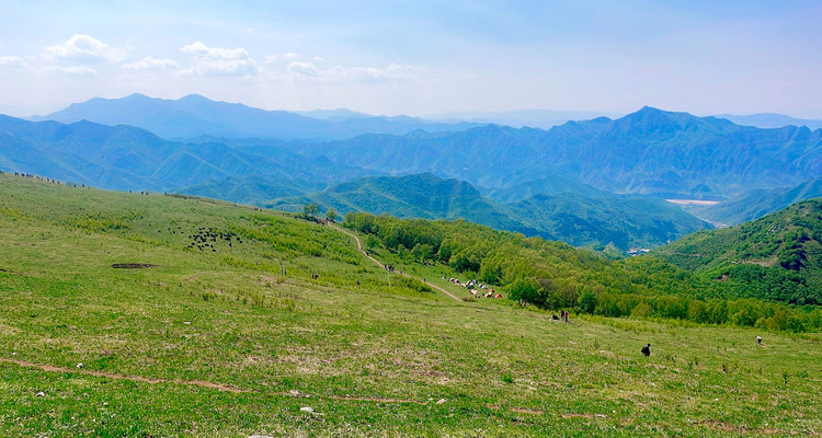 【北京一周一山·北灵山】初级丨10公里丨打卡京郊”阿勒泰“+踏浪高山草甸+邂逅云海+开启夏日狂欢派对~
