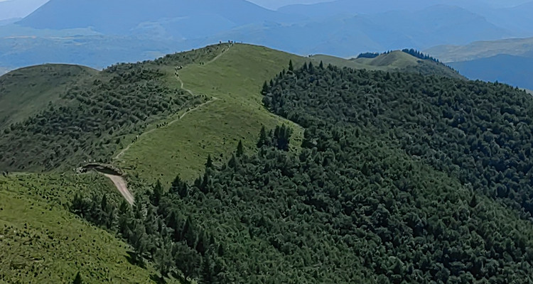 【北京一周一山·麻田岭】初级丨9公里丨打卡绝美空中草原+高山草甸+云海风车！