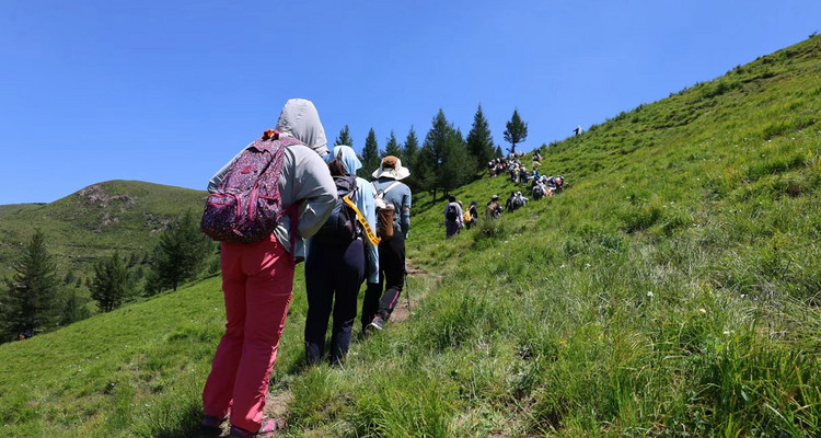 【北京一周一山·麻田岭】初级丨9公里丨打卡绝美空中草原+高山草甸+云海风车！