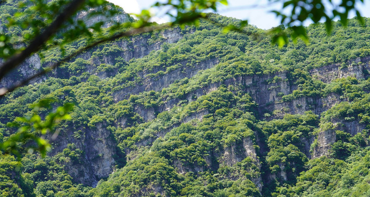 【北京一周一山·濂泉响谷】休闲级丨6公里丨聆听原生态大自然的声音+治愈级山谷徒步
