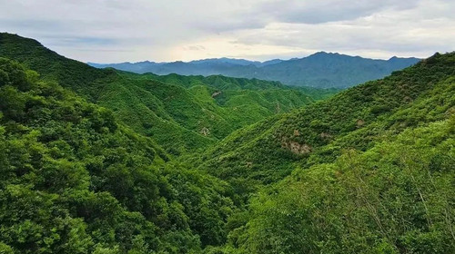 【北京一周一山·鳌鱼沟】初级丨10公里徒步丨徒步山野+解锁京郊“氧”生新地图+穿越绿野仙踪的自然奇遇