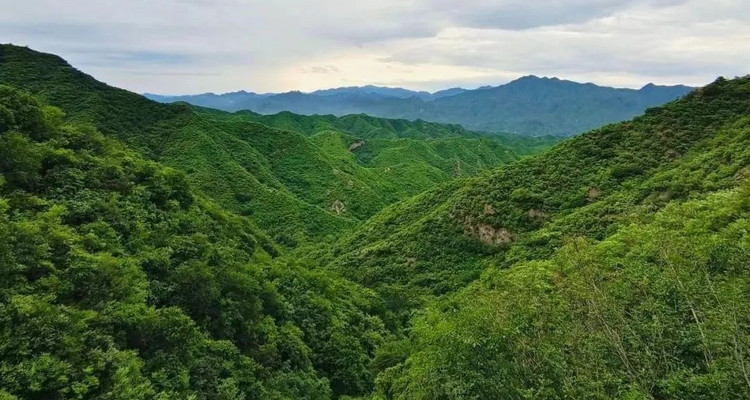 【北京一周一山·鳌鱼沟】初级丨10公里徒步丨徒步山野+解锁京郊“氧”生新地图+穿越绿野仙踪的自然奇遇