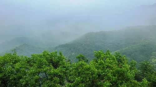 【北京一周一山·莲花滩 】初级丨10公里丨童话森林里的漫步+奔向山谷秘境深处一线天+感受山野乐趣~