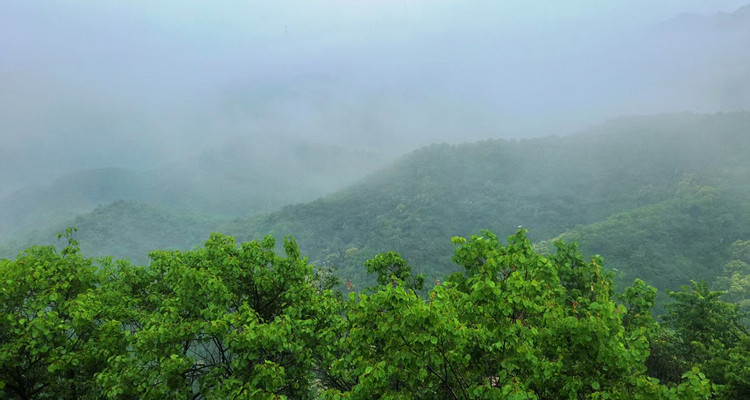 【北京一周一山·莲花滩 】初级丨10公里丨童话森林里的漫步+奔向山谷秘境深处一线天+感受山野乐趣~