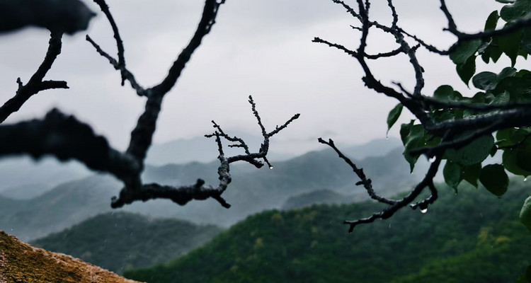【北京一周一山·莲花滩 】初级丨10公里丨童话森林里的漫步+奔向山谷秘境深处一线天+感受山野乐趣~