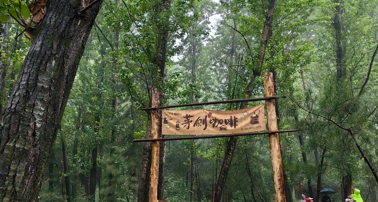 【北京一周一山·莲花滩 】初级丨10公里丨童话森林里的漫步+奔向山谷秘境深处一线天+感受山野乐趣~