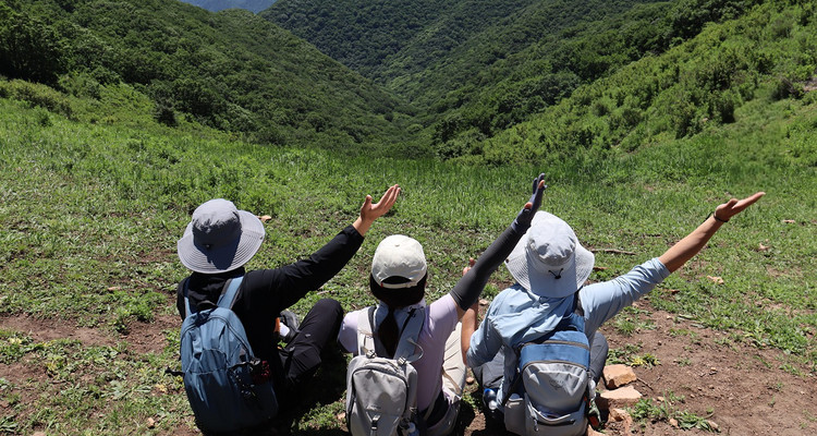 【北京一周一山·海坨山南大梁】初级丨10公里徒步丨近观大小海坨山+高山草甸+云海缭绕！
