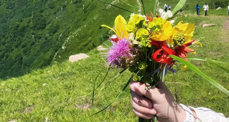【北京一周一山·海坨山南大梁】初级丨10公里徒步丨近观大小海坨山+高山草甸+云海缭绕！
