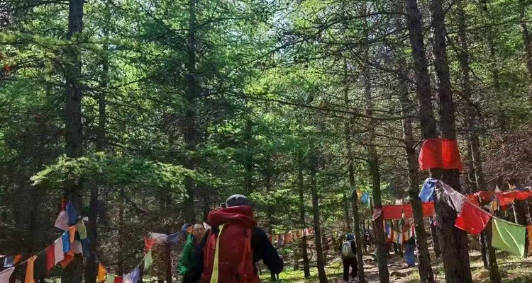 【行走山西·五台连穿2日】50km丨中高级丨轻装徒步+五台山大朝台+看日出赏云海+转山转水转佛塔+朝圣之路