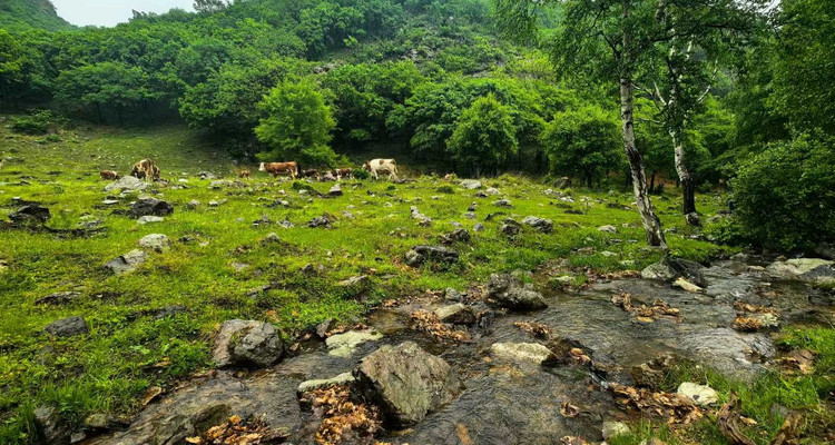 【行走内蒙·大青山-美林谷徒步2日】深入探索夏日避暑胜地大青山+探访著名的“大裂谷+探秘原始森林氧吧+美林谷休闲徒步+38人舒适团！