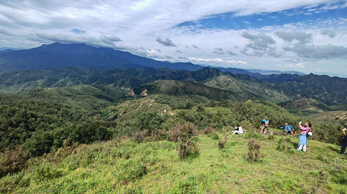【北京100公里山野·黄草梁站】中级难度丨17.5公里丨徒步绝美高山草甸+打卡古道明珠黄草梁+新人小白勿报