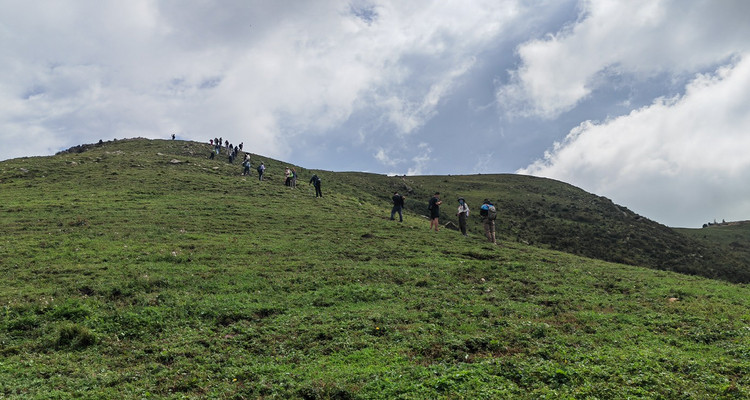【北京100公里山野·黄草梁站】中级难度丨17.5公里丨徒步绝美高山草甸+打卡古道明珠黄草梁+新人小白勿报