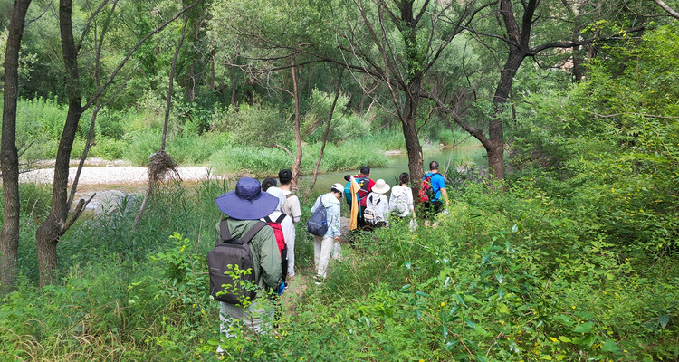 【北京一周一山·清水河】休闲级|10公里|探寻自然之美与心灵对话+徒步穿越花海溪流+玩转整个夏季~