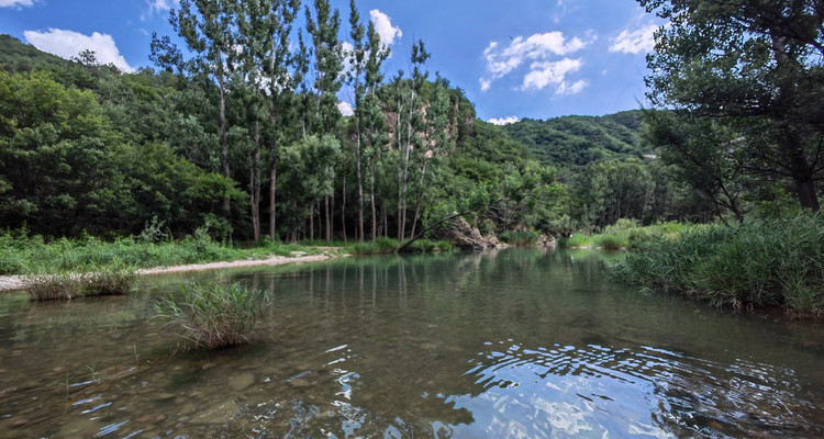 【北京一周一山·清水河】休闲级|10公里|探寻自然之美与心灵对话+徒步穿越花海溪流+玩转整个夏季~