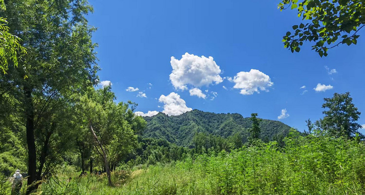 【北京一周一山·清水河】休闲级|10公里|探寻自然之美与心灵对话+徒步穿越花海溪流+玩转整个夏季~
