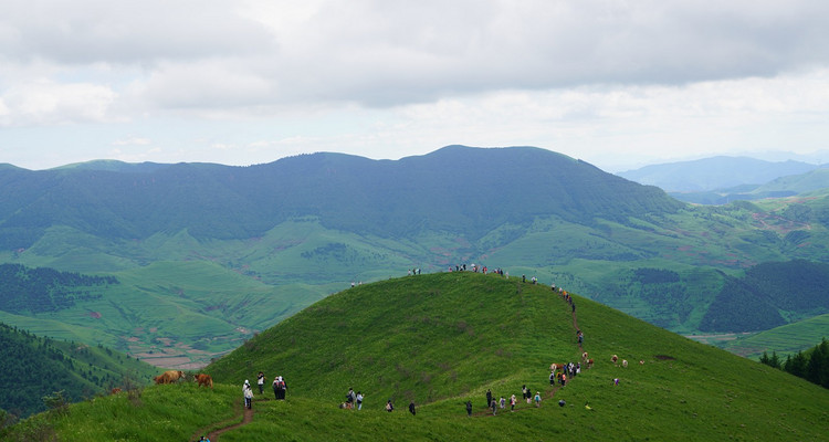 【北京一周一山·麻田岭】初级丨9公里丨打卡绝美空中草原+高山草甸+云海风车！