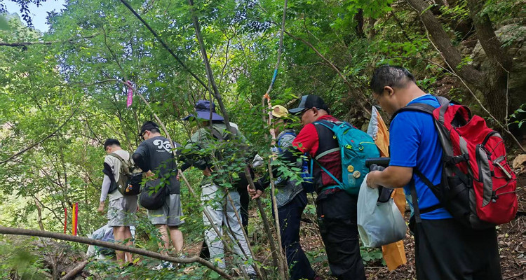 【北京一周一山·清水河】休闲级|10公里|探寻自然之美与心灵对话+徒步穿越花海溪流+玩转整个夏季~