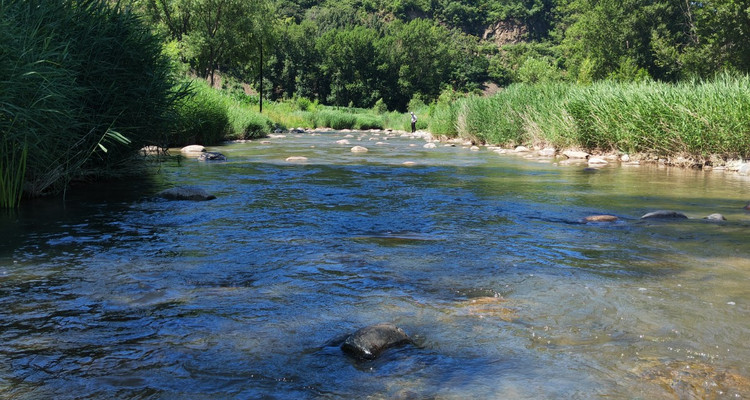 【北京一周一山·清水河】休闲级|10公里|探寻自然之美与心灵对话+徒步穿越花海溪流+玩转整个夏季~