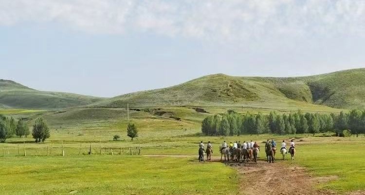 【丰宁坝上草原野骑】自驾3天2晚/2天1晚可选丨一价全含+丰宁坝上草原深度骑马+含教练含新手教学