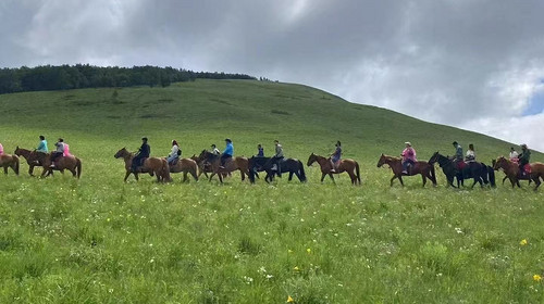 【丰宁坝上草原野骑】自驾3天2晚/2天1晚可选丨一价全含+丰宁坝上草原骑马+含教练+新手教学
