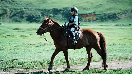 【丰宁坝上草原野骑】自驾3天2晚/2天1晚可选丨一价全含+丰宁坝上草原骑马+含教练+新手教学