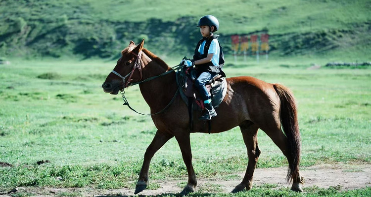 【丰宁坝上草原野骑】自驾3天2晚/2天1晚可选丨一价全含+丰宁坝上草原深度骑马+含教练含新手教学