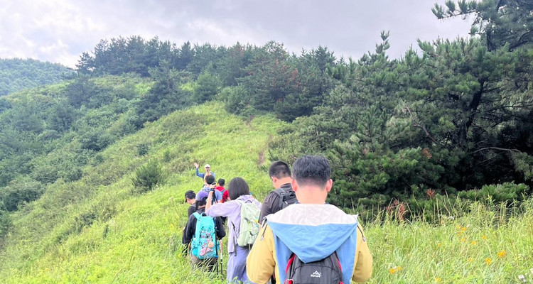 【北京100公里山野·西南灵站】17公里徒步+中高级难度+漫步高山草甸+野花漫山遍野 体弱/新人/小白勿报