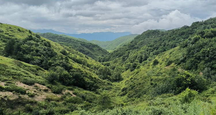【北京100公里山野·西南灵站】17公里徒步+中高级难度+漫步高山草甸+野花漫山遍野 体弱/新人/小白勿报